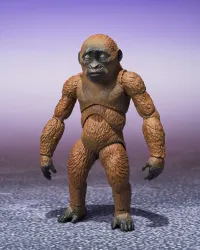 TAMASHII NATIONS SUKO & MOTHRA (2024) FROM GODZILLA x KONG: THE NEW EMPIRE	GODZILLA x KONG: The New Empire ""GODZILLA x KONG: The New Empire"", TAMASHII NATIONS S.H.MonsterArts - Godzilla - photo 6