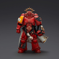 Blood Angels Captain with Inferno Pistol & Power Fist 19