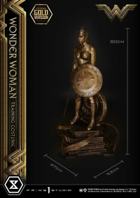 Museum Masterline Wonder Woman (Film) Wonder Woman Training Costume Gold Version 8
