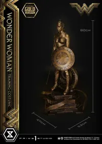 Prime 1 Studio Museum Masterline Wonder Woman (Film) Wonder Woman Training Costume Gold Version - DC Comics - photo 8
