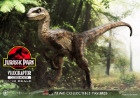 Prime Collectible Figures  Jurassic Park (Film)  Velociraptor  Closed Mouth 32