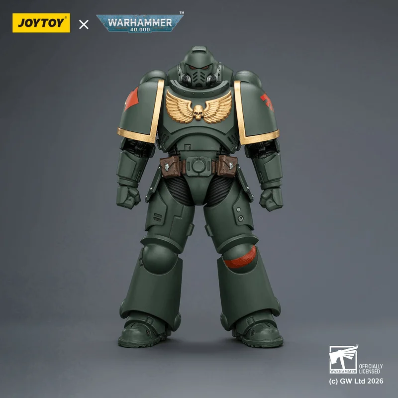 Dark Angels Intercessor with Bolt Rifle, Bolt Pistol and Chainsword