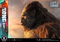 Prime 1 Studio Life Size Bust Godzilla vs Kong (Film) Kong - Godzilla - photo 29