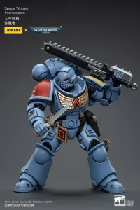 JOYTOY Space Wolves Intercessors - Warhammer 40K - photo 4
