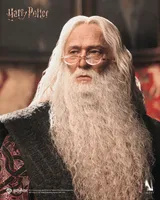 Queen Studios INART - Harry Potter and the Chamber of Secrets - Albus Dumbledore 1/6 Collectible Figure Premium Version - Harry Potter - photo 4
