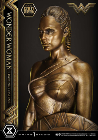 Museum Masterline Wonder Woman (Film) Wonder Woman Training Costume Gold Version 14