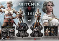Museum Masterline The Witcher 3: Wild Hunt Ciri Fiona Elen Riannon 1