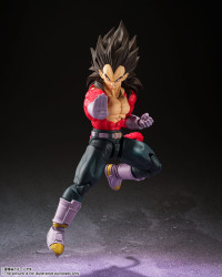 Super Saiyan 4 Vegeta 4