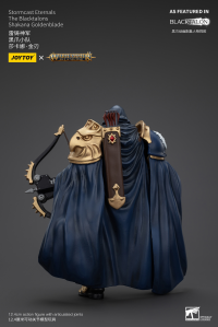 Stormcast Eternals The Blacktalons Shakana Goldenblade 7