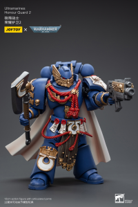 Ultramarines Honour Guard  2 7