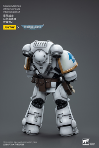 Space Marines White Consuls Intercessors 2 7