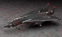 1/72  F-14A TOMCAT "ACE COMBAT RAZGRIZ" 3