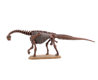 DINOSAUR MASTER３ 4