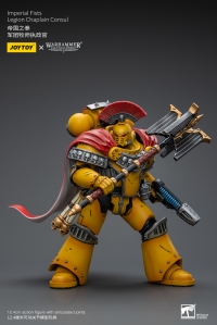 Imperial Fists Legion Chaplain Consul 7