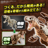 PLANNOSAURUS Tyrannosaurus 12