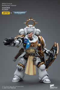 White Consuls Bladeguard Veteran 4
