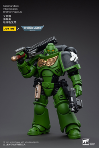 Salamanders Intercessors Brother Haecule 5