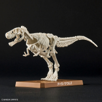 PLANNOSAURUS Tyrannosaurus 7