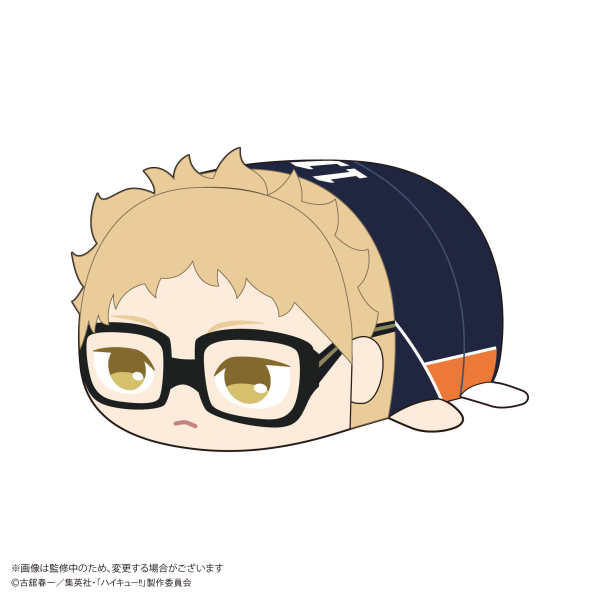 Haikyu!! POTE KORO MASCOT Msize (ITEM C)