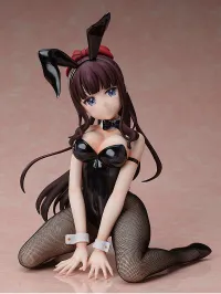 FREEing Hifumi Takimoto: Bunny Ver. - NEW GAME!! - photo 3