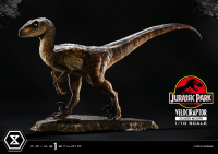 Prime Collectible Figures  Jurassic Park (Film)  Velociraptor  Closed Mouth 19