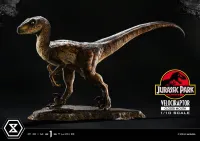 Prime 1 Studio Prime Collectible Figures  Jurassic Park (Film)  Velociraptor  Closed Mouth - Jurassic Park - photo 19