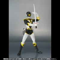TAMASHII NATIONS Black Condor (Choujin Sentai Jetman) - Tokusatsu - photo 4