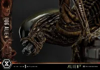 Prime 1 Studio Museum Masterline XL Alien 3 (Film) Dog Alien DX Bonus Version - Alien (Movie Franchise) - photo 44