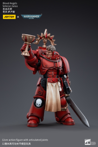 Blood Angels Veteran Salus 3
