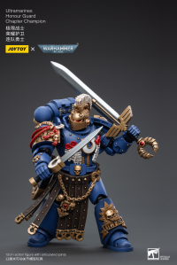 Ultramarines Honour Guard Chapter Champion 2