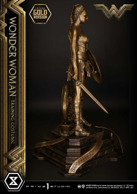 Museum Masterline Wonder Woman (Film) Wonder Woman Training Costume Gold Version 12