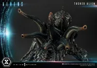 Prime 1 Studio Premium Masterline Aliens (Comics) Tusked Alien Bonus Version - Alien (Movie Franchise) - photo 18