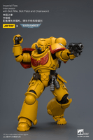 Imperial Fists Intercessor with Bolt Rifle, Bolt Pistol and Chainsword 22