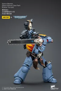 JOYTOY Space Marines Space Wolves Claw Pack Brother Torrvald - Warhammer 40K - photo 6