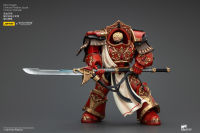 Blood Angels Crimson Paladins Squad Crimson Exemplar 11
