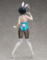 Ruka Sarashina: Bunny Ver. 5