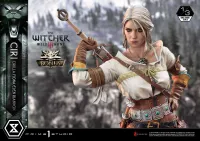 Prime 1 Studio Museum Masterline The Witcher 3: Wild Hunt Ciri Fiona Elen Riannon Bonus Version - Video Games - photo 28