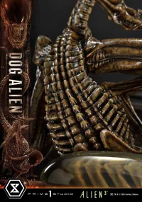 Prime 1 Studio Museum Masterline XL Alien 3 (Film) Dog Alien			 - Alien (Movie Franchise) - photo 10