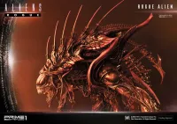 Prime 1 Studio Premium Masterline Aliens (Comics) Rogue Alien Battle Diorama EX Version - Alien (Movie Franchise) - photo 57