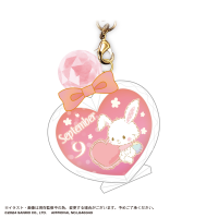 SANRIO CHARACTERS BIRTHDAY "PUKKURI" CLEAR KEY RING 9