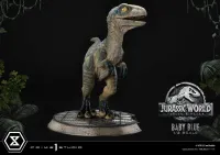 Prime 1 Studio Legacy Museum Collection Jurassic World: Fallen Kingdom (Film) Baby Blue 1/2 scale - Jurassic Park - photo 30