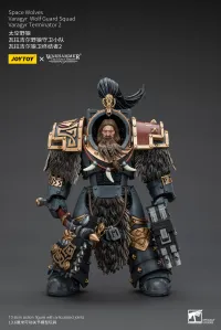 JOYTOY Space Wolves Varagyr Wolf Guard Squad Varagyr Terminator 2 - Warhammer 40K - photo 1