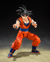 SON GOKU <THE KIND-HEARTED SAIYAN> "DRAGON BALL Z" 7