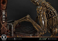 Museum Masterline XL Alien 3 (Film) Dog Alien			 23