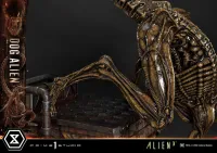 Prime 1 Studio Museum Masterline XL Alien 3 (Film) Dog Alien			 - Alien (Movie Franchise) - photo 23