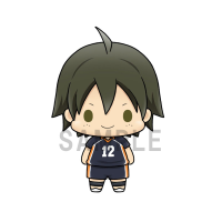 Haikyuu!! Vol.1 set 6