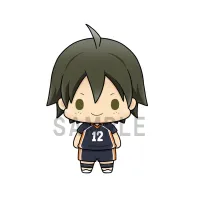 MegaHouse Haikyuu!! Vol.1 set - Haikyu!! - photo 6
