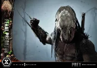 Prime 1 Studio Museum Masterline Prey Feral Predator Deluxe Version - Live Action Movies/TV - photo 14