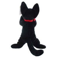 JIJI 15 2