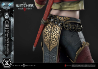 Premium Masterline The Witcher 3: Wild Hunt Ciri Fiona Elen Riannon Alternative Outfit DX Bonus Version 23